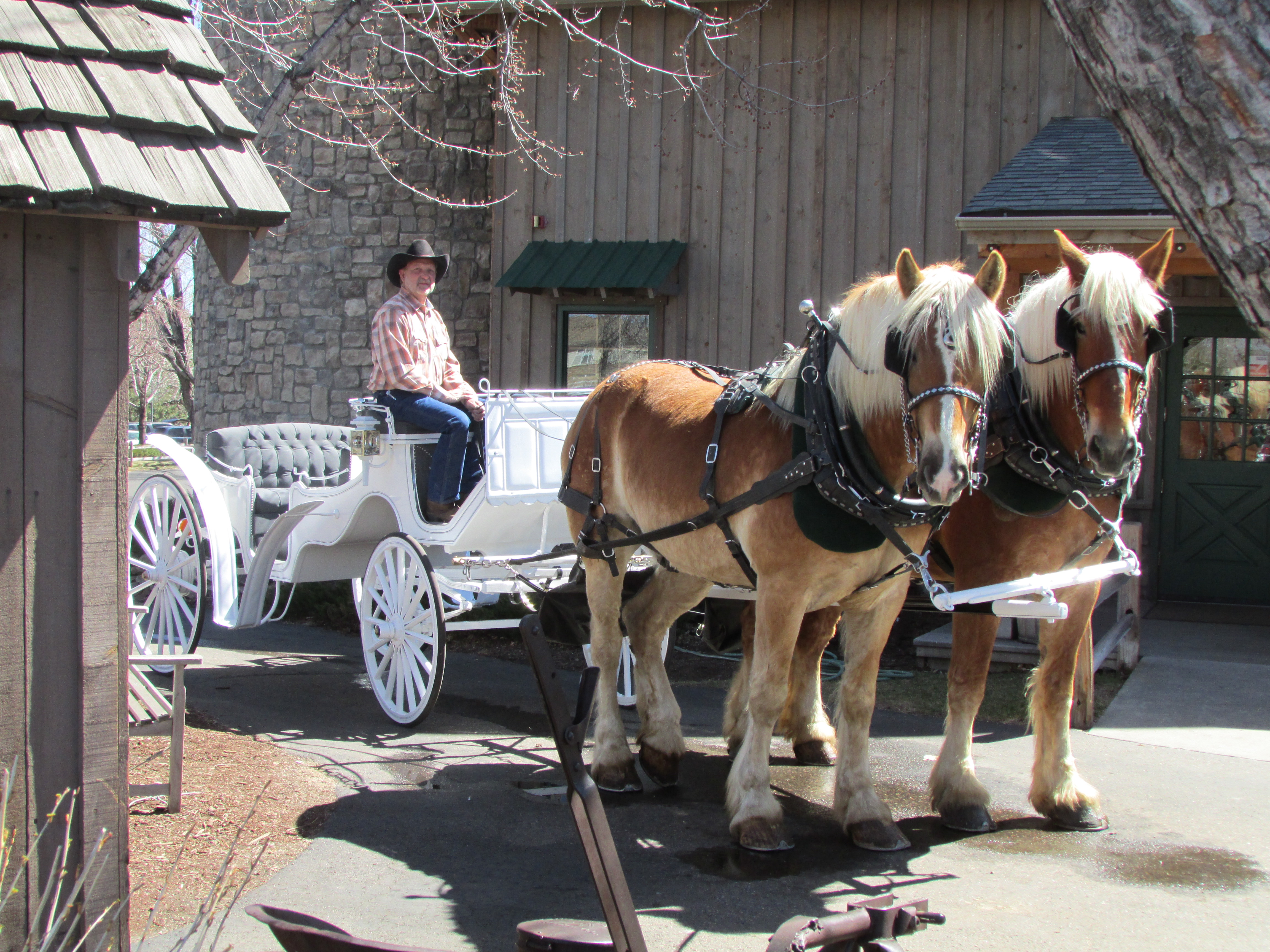 wff_team_carriage_new